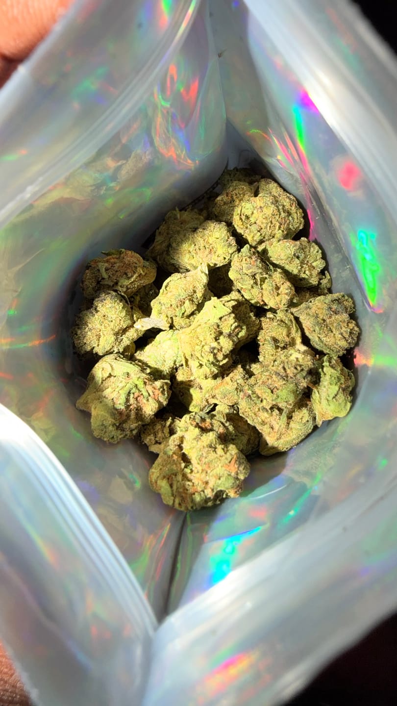 Customer photo review of Greenhouse Smalls