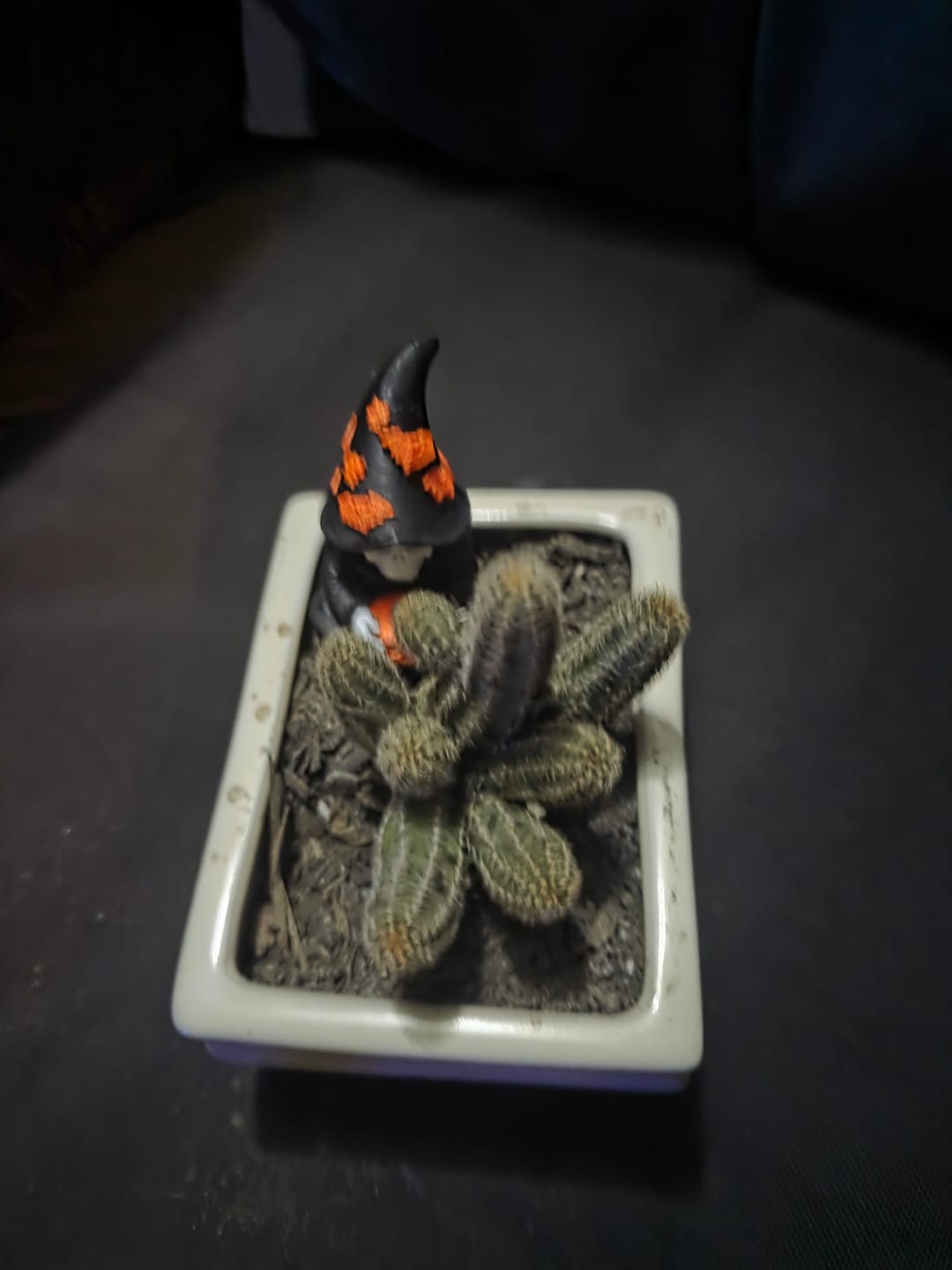 Customer photo review of Echinopsis chamaecereus