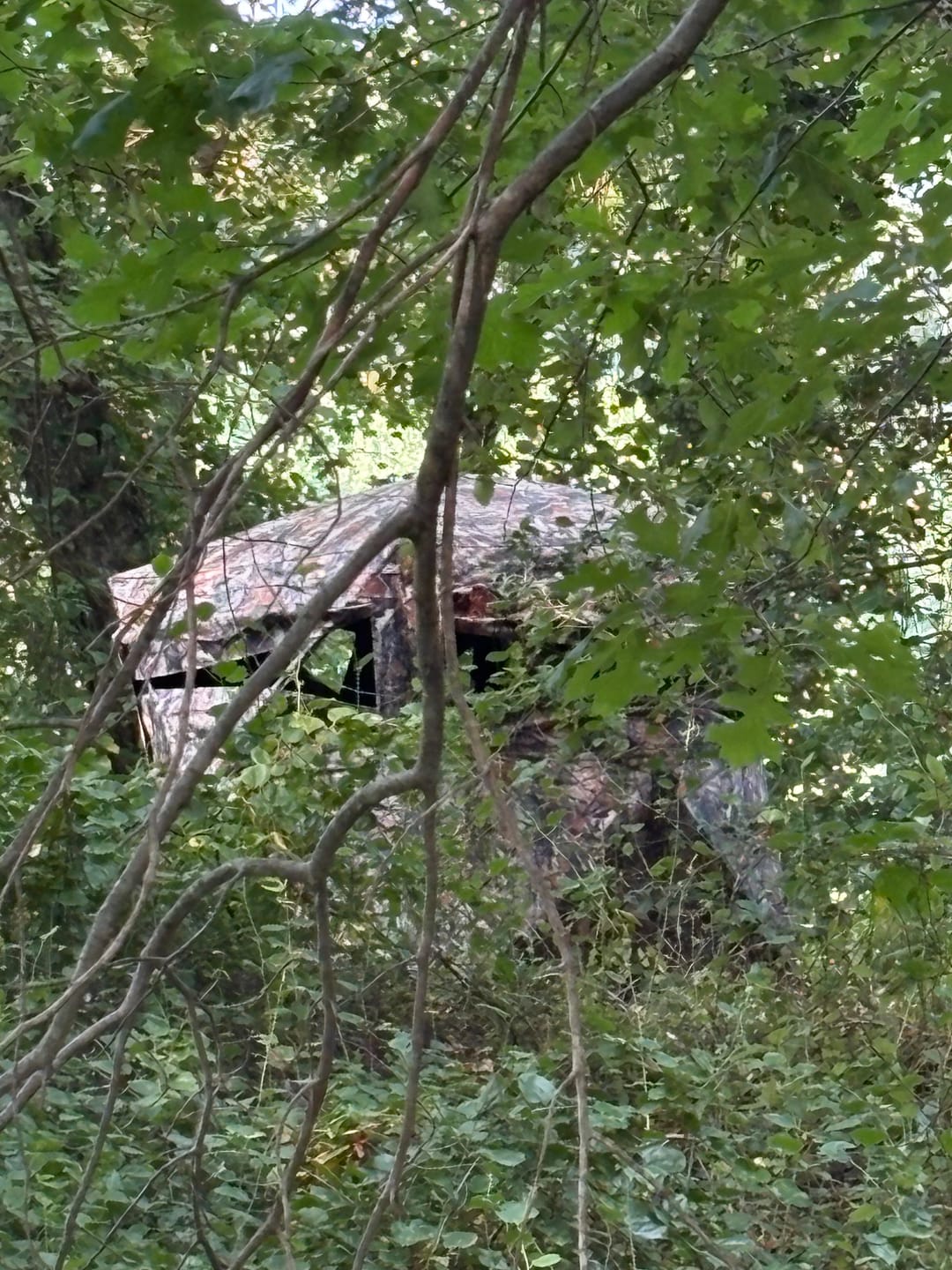 Customer photo review of Vis Series 270 Degree See Through Hunting Blind | Portable 2 3 4 Person Ground Blind | Camo Pop Up Deer Blind for Deer & Hunters