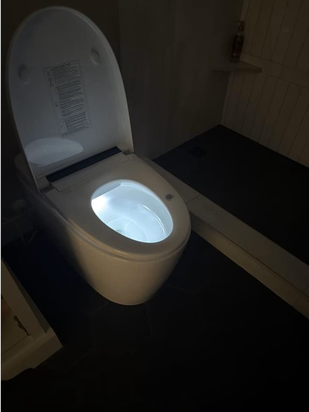 Customer photo review of Espoo - Smart One-Piece Bidet Toilet with Built-In Bidet