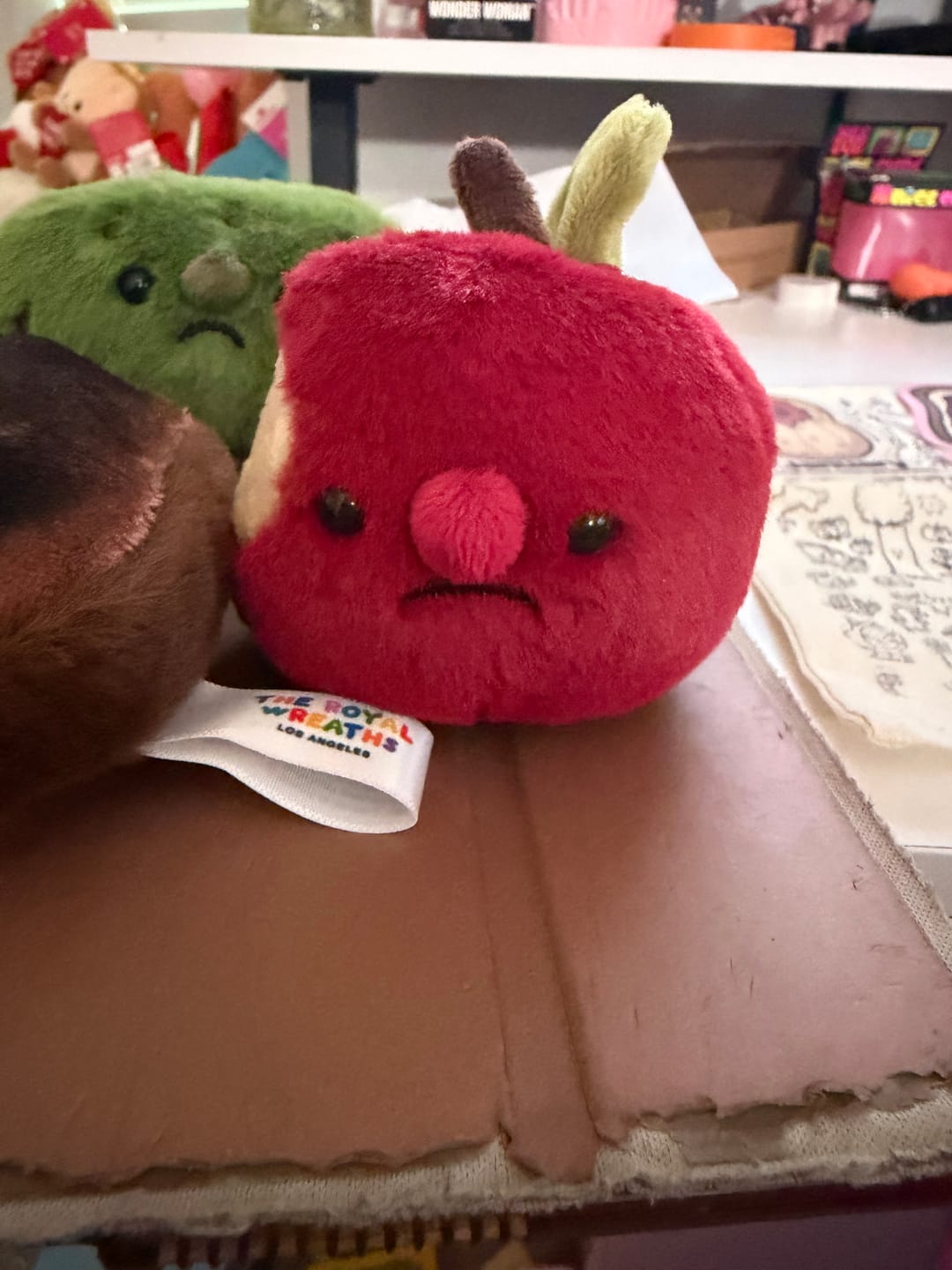 Customer photo review of The Lost Two (2 Mystery Plushies)