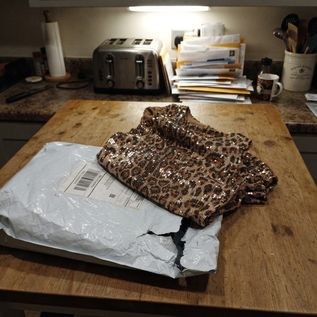 Customer photo review of Irina Leopard Mini Dress