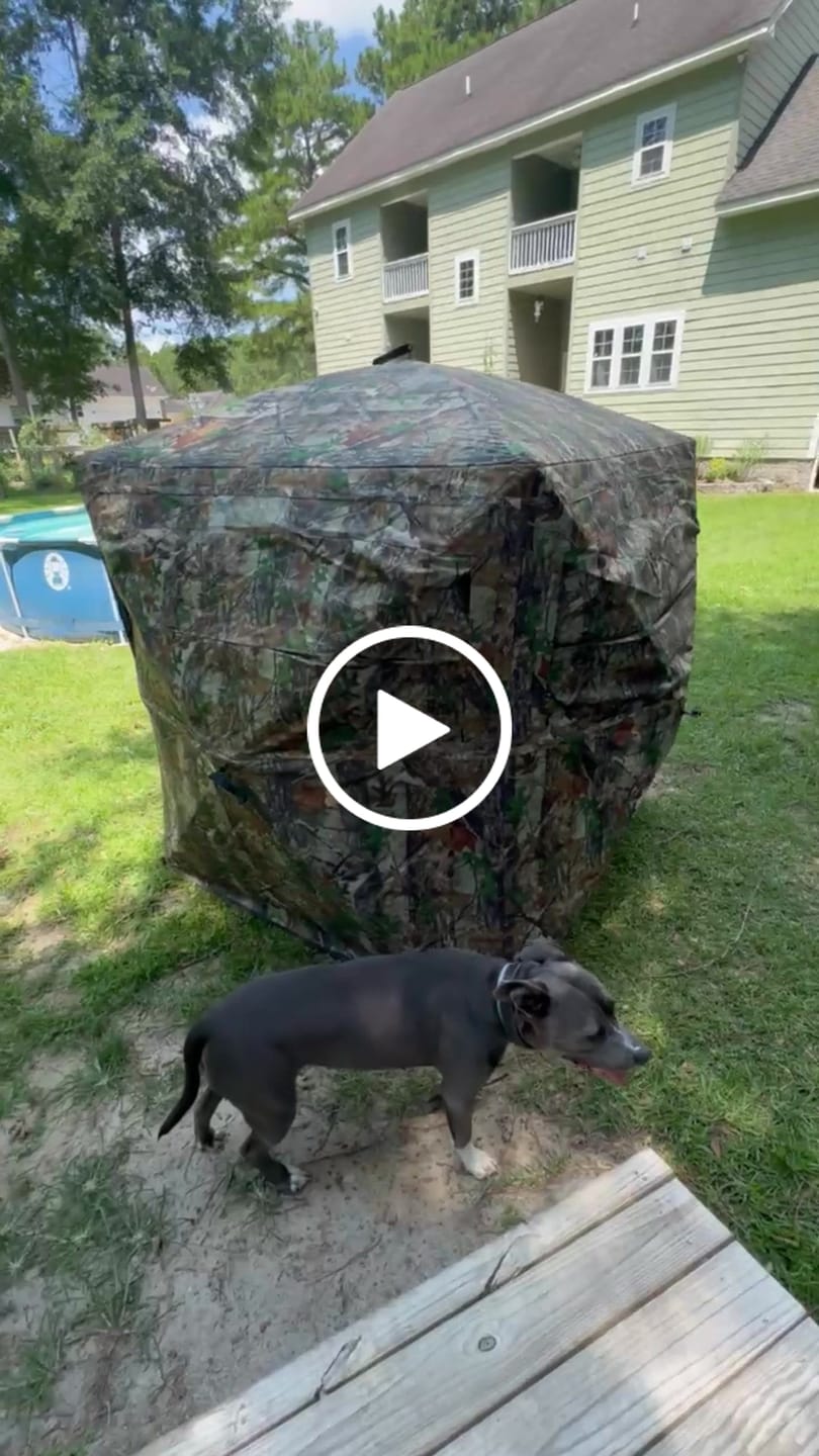 Customer video review of FLASH SALE VisX/VisMax 270 Degree Ground Blind | See-Through Duck Blind & Portable Pop-Up Deer Blind | Camouflage Hunting Blinds & Best Budget Ground Options