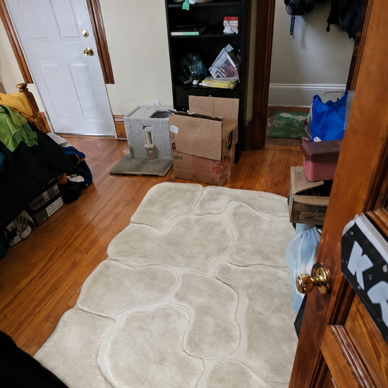 Customer photo review of Haruto Irregular Rug