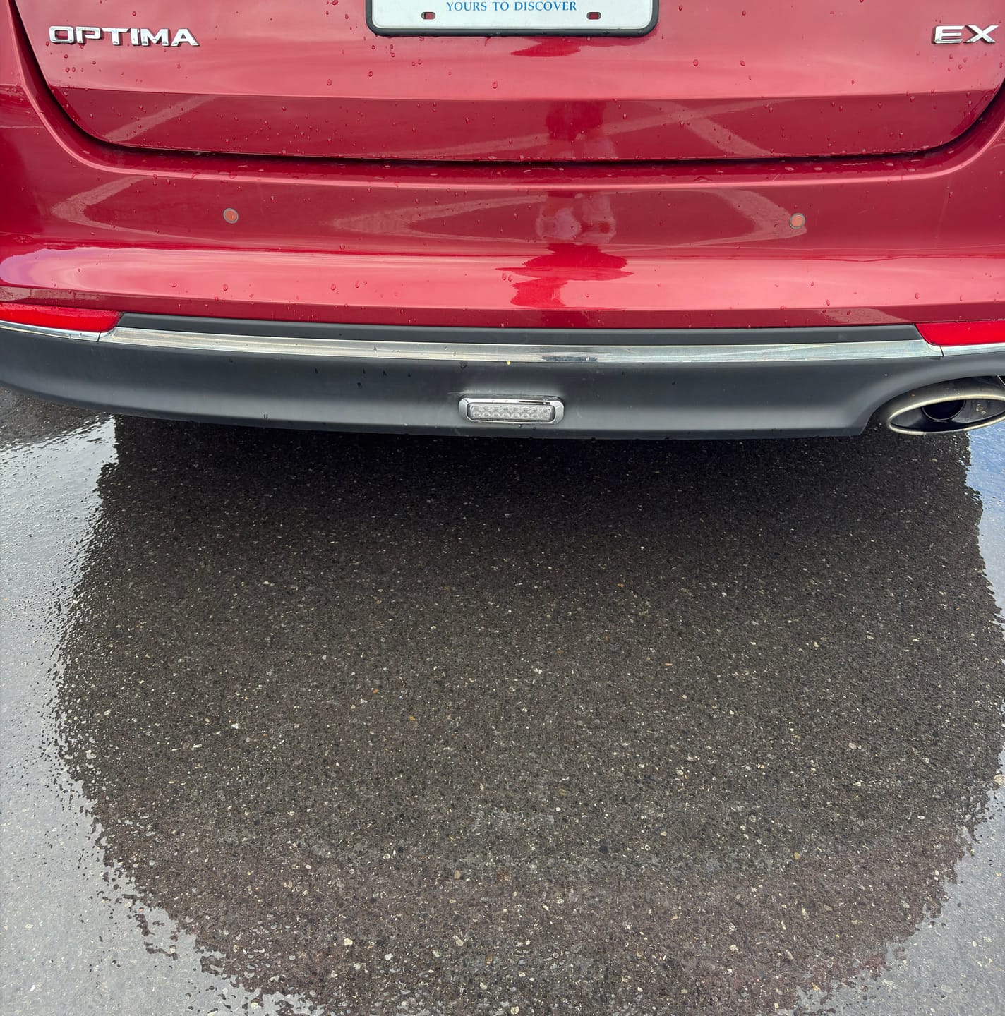 Customer photo review of Strands Dark Knight Fog Light