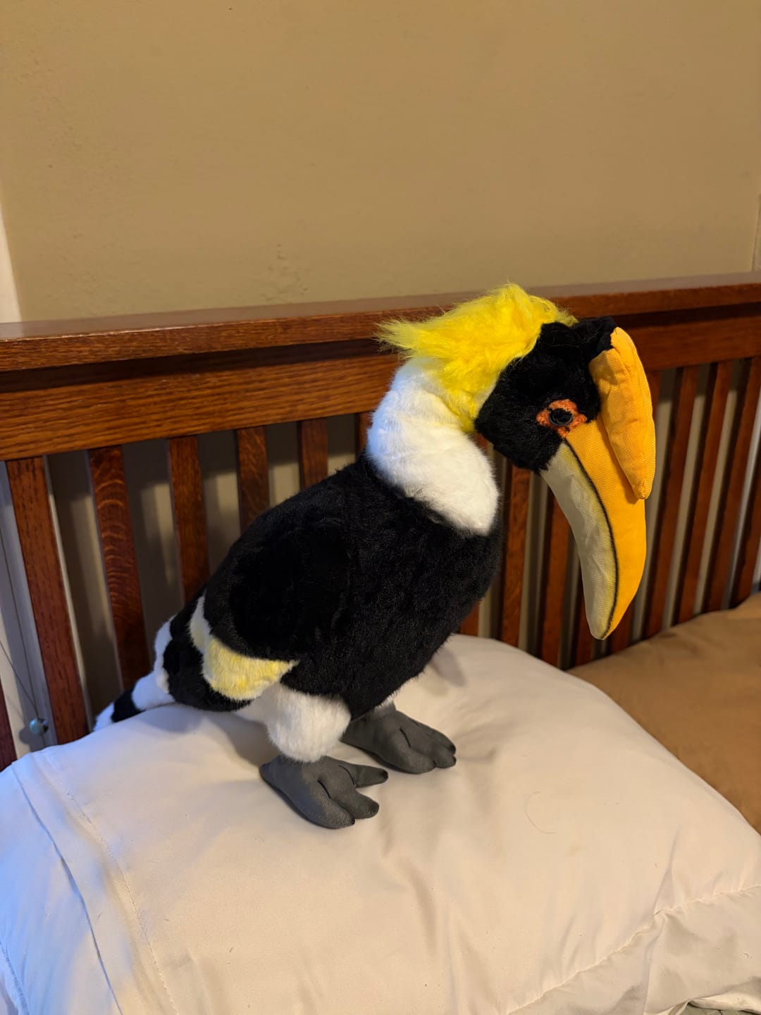 Customer photo review of Great Hornbill Bird Soft Stuffed Plush Toy