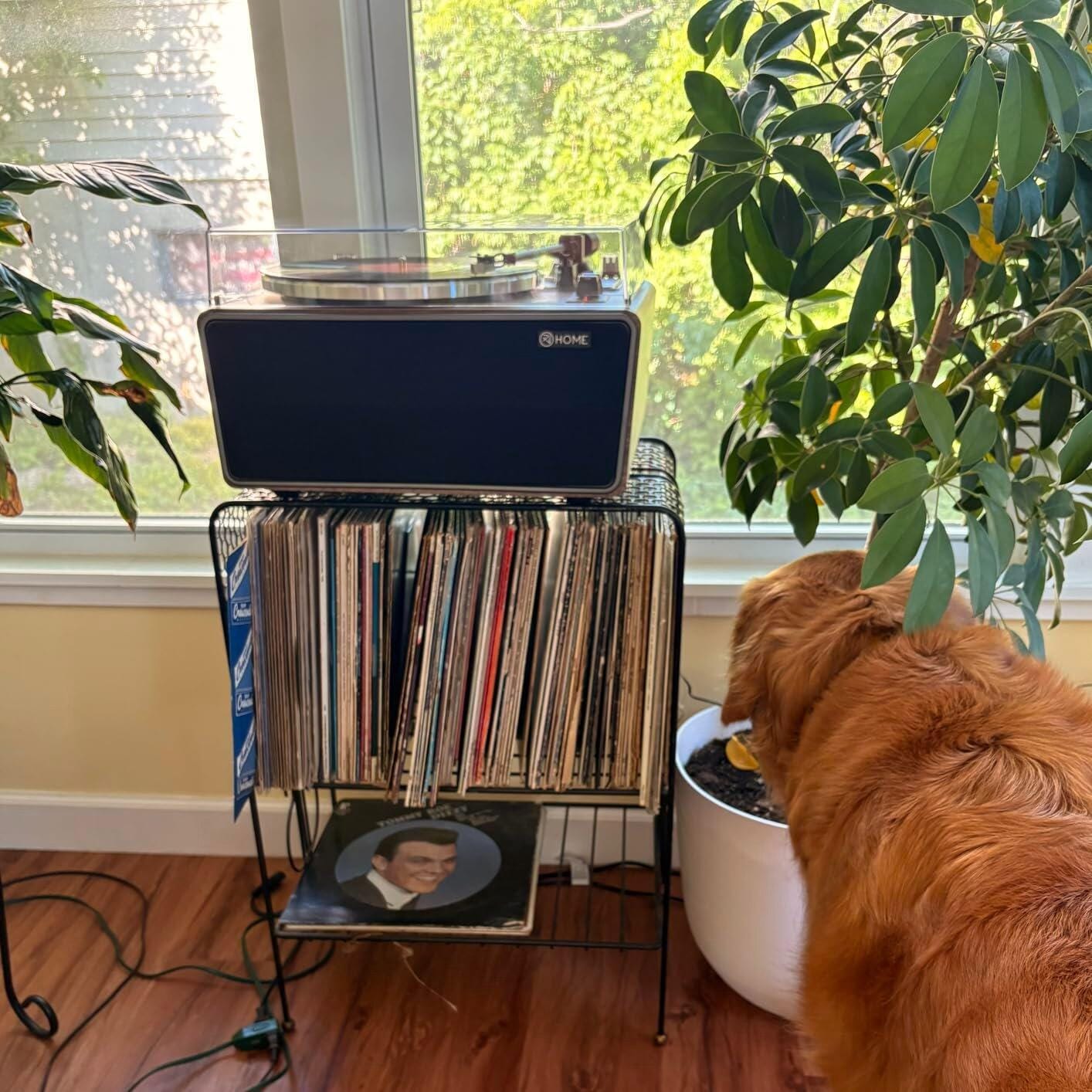 Customer photo review of XJ-H01 All-in-One Vinyl Turntable with Bluetooth & USB Recording