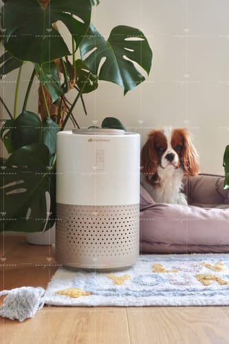 Customer photo review of Pet Air Purifier