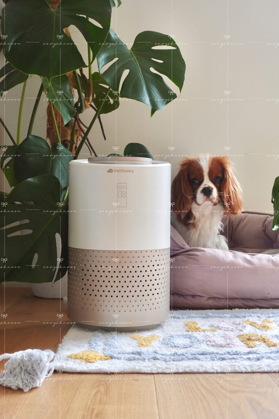 Customer photo review of Pet Air Purifier