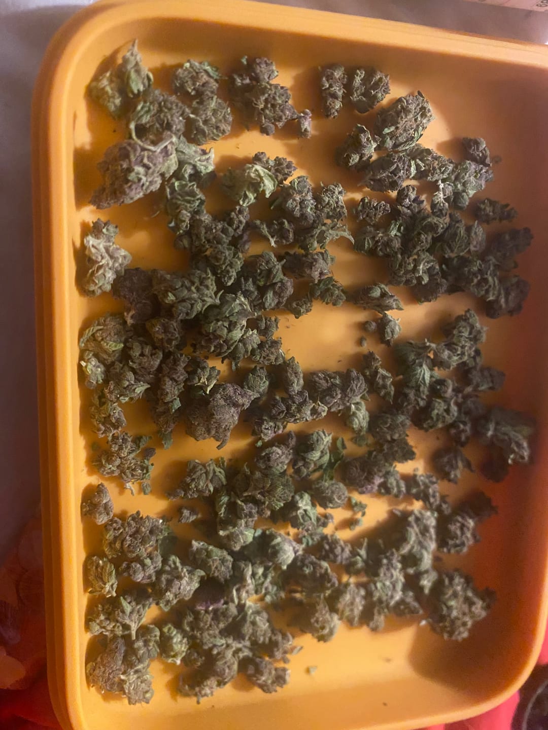Customer photo review of Granddaddy Purple - 14 Grams - Indica