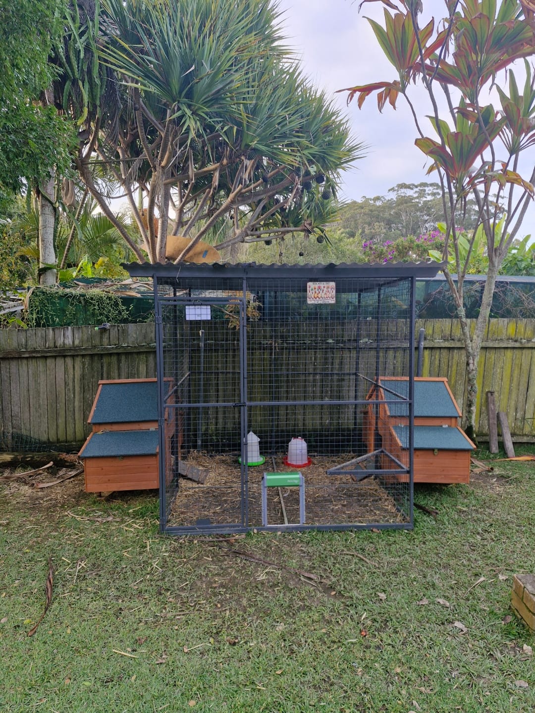 Customer photo review of Pets Gear Automatic Chicken Coop Door Solar Powered