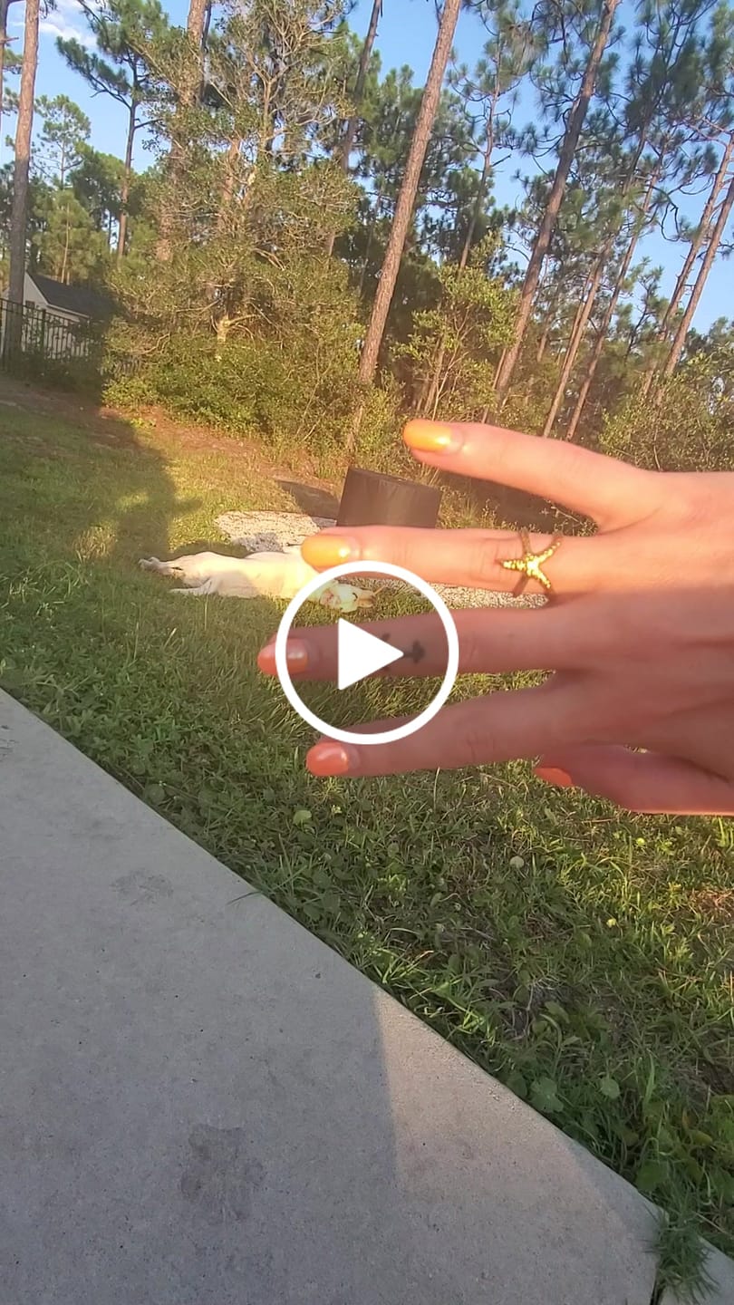 Customer video review of Sunstar Ring (Bundle)
