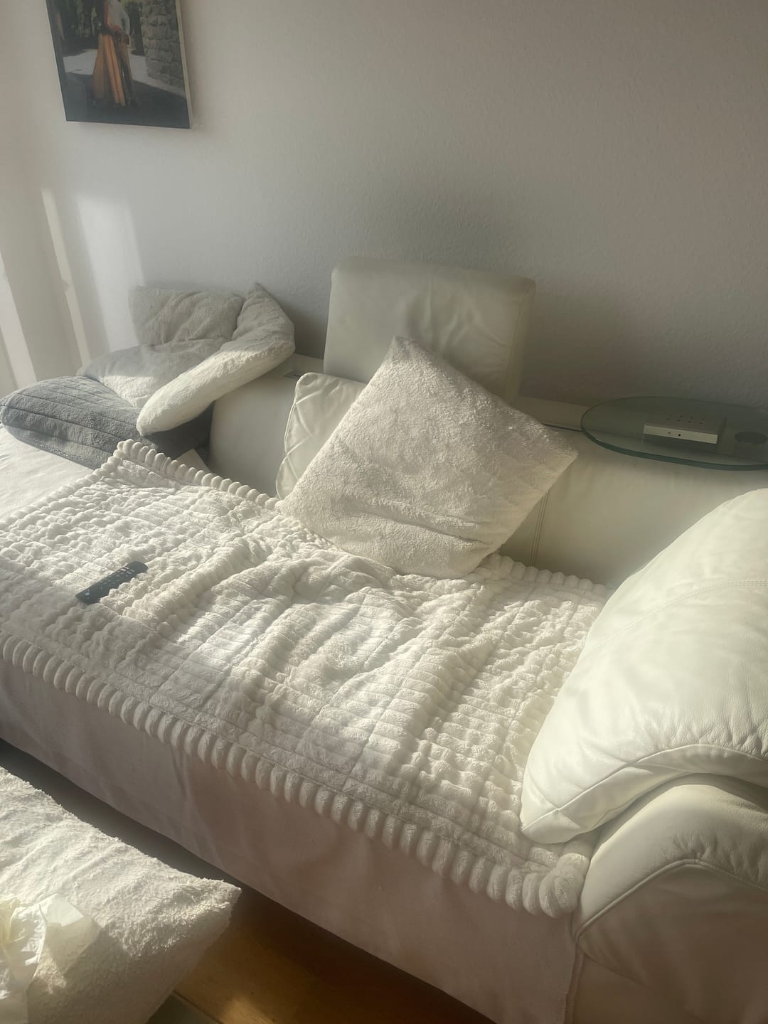 Customer photo review of PetLounge I Premium Sofa-Schutz