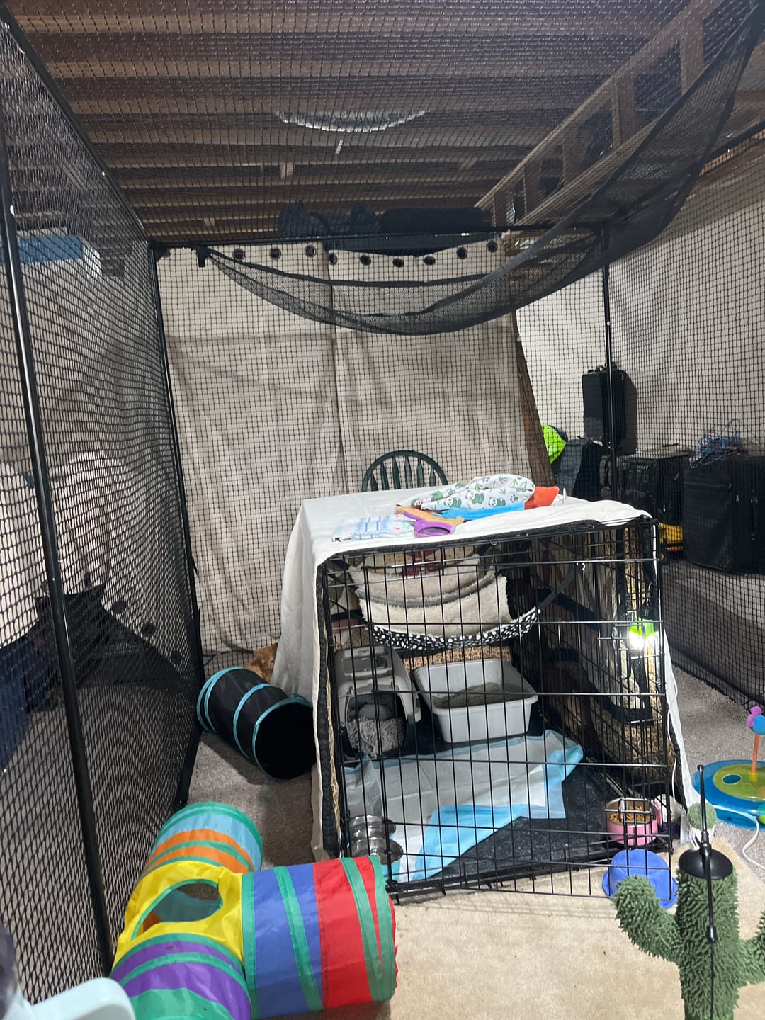 Customer photo review of Cat Enclosure | XL