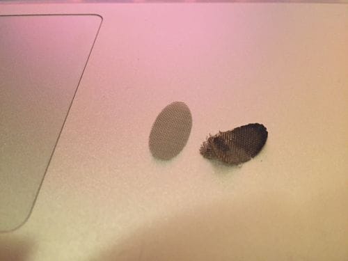 Customer photo review of Replacement Screens for AirVape X (6-Pack)