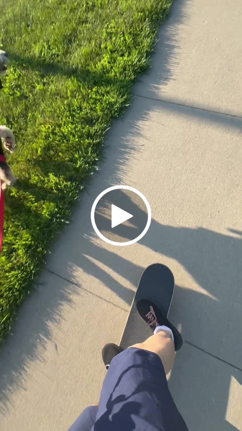 Customer video review of Biothane Traffic Handle Dog Leash