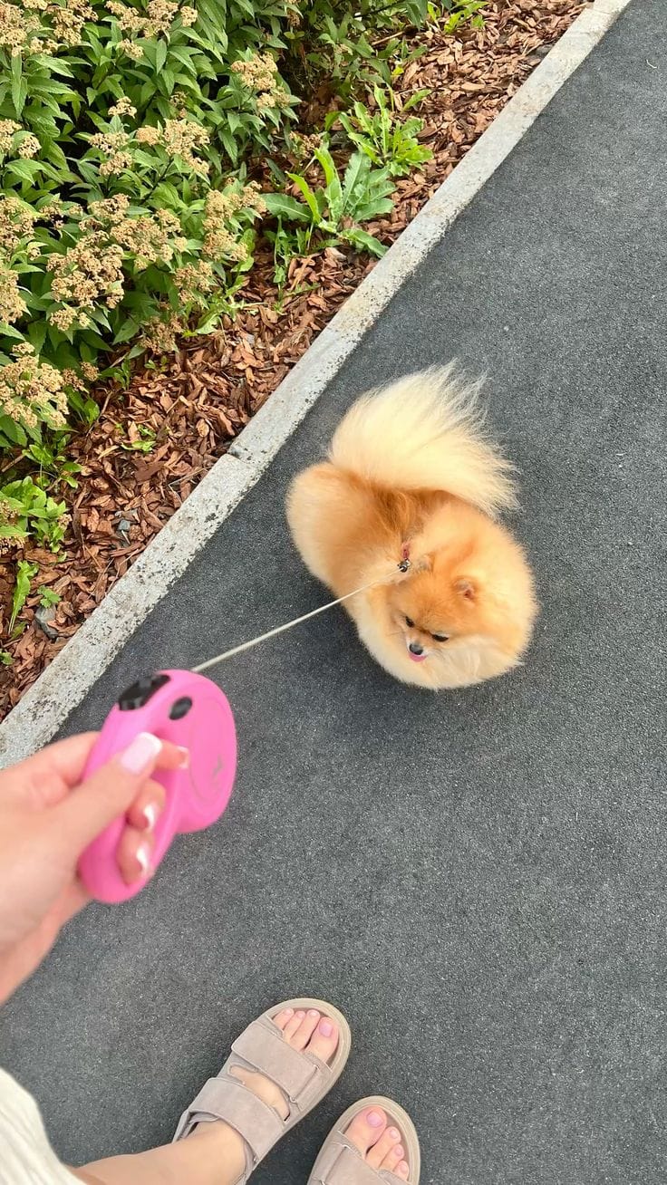 Customer photo review of ペット用携帯給水ボトル