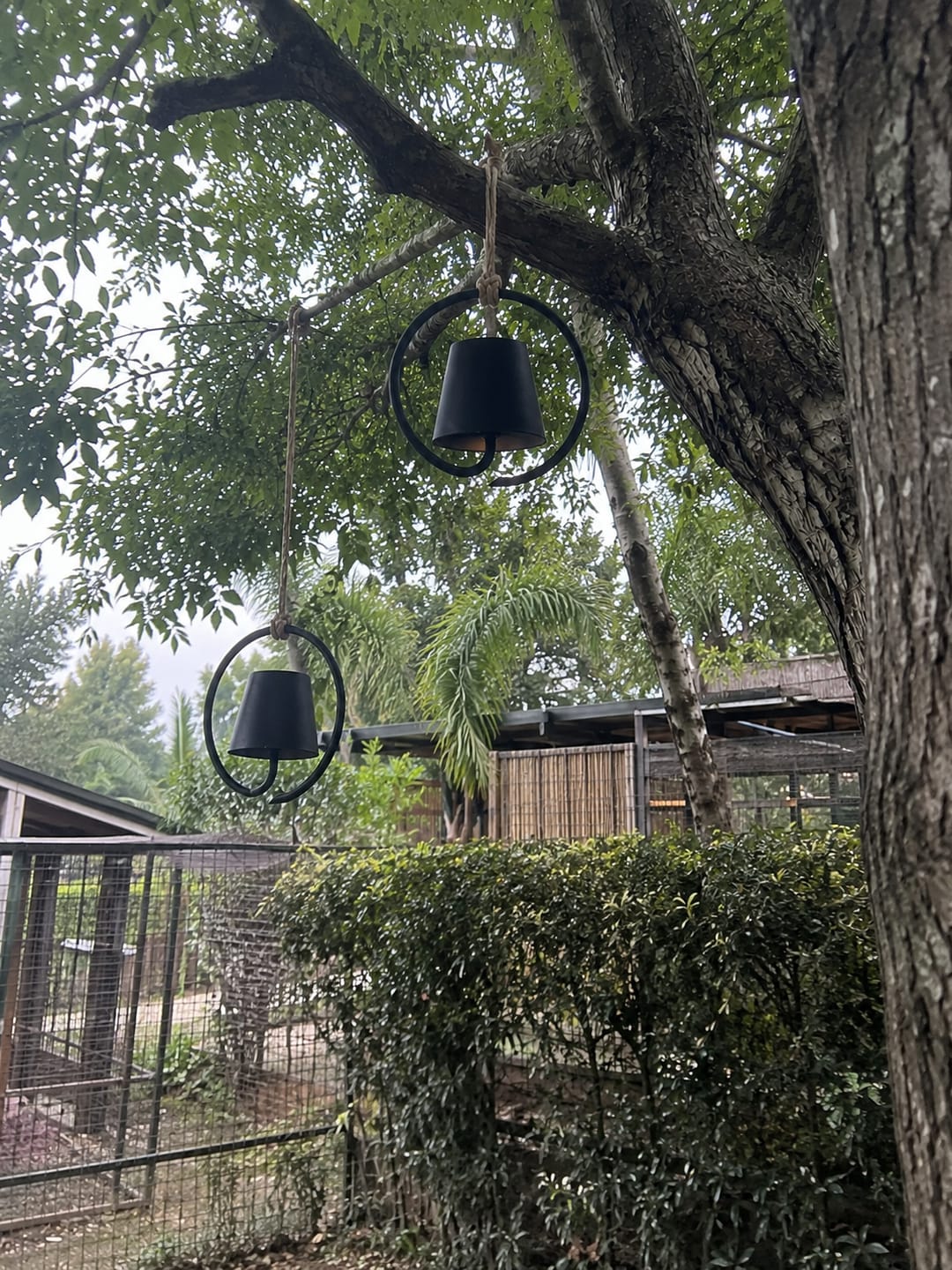 Customer photo review of Outdoor Rechargeable Pendant Light