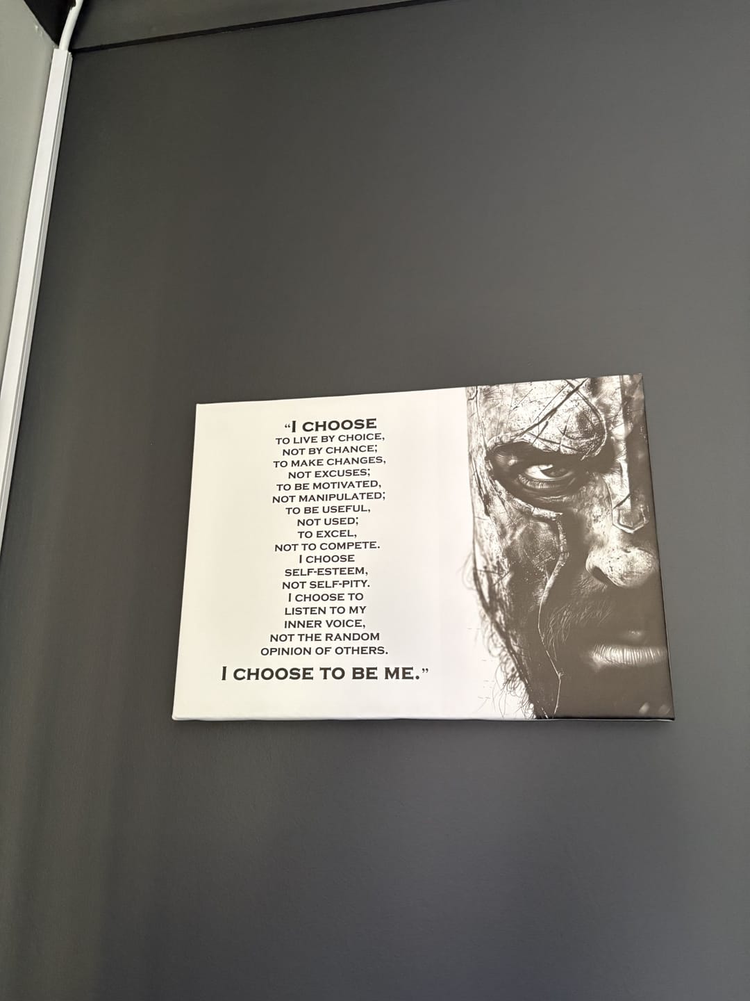 Customer photo review of 3 x A3 Canvas Combo