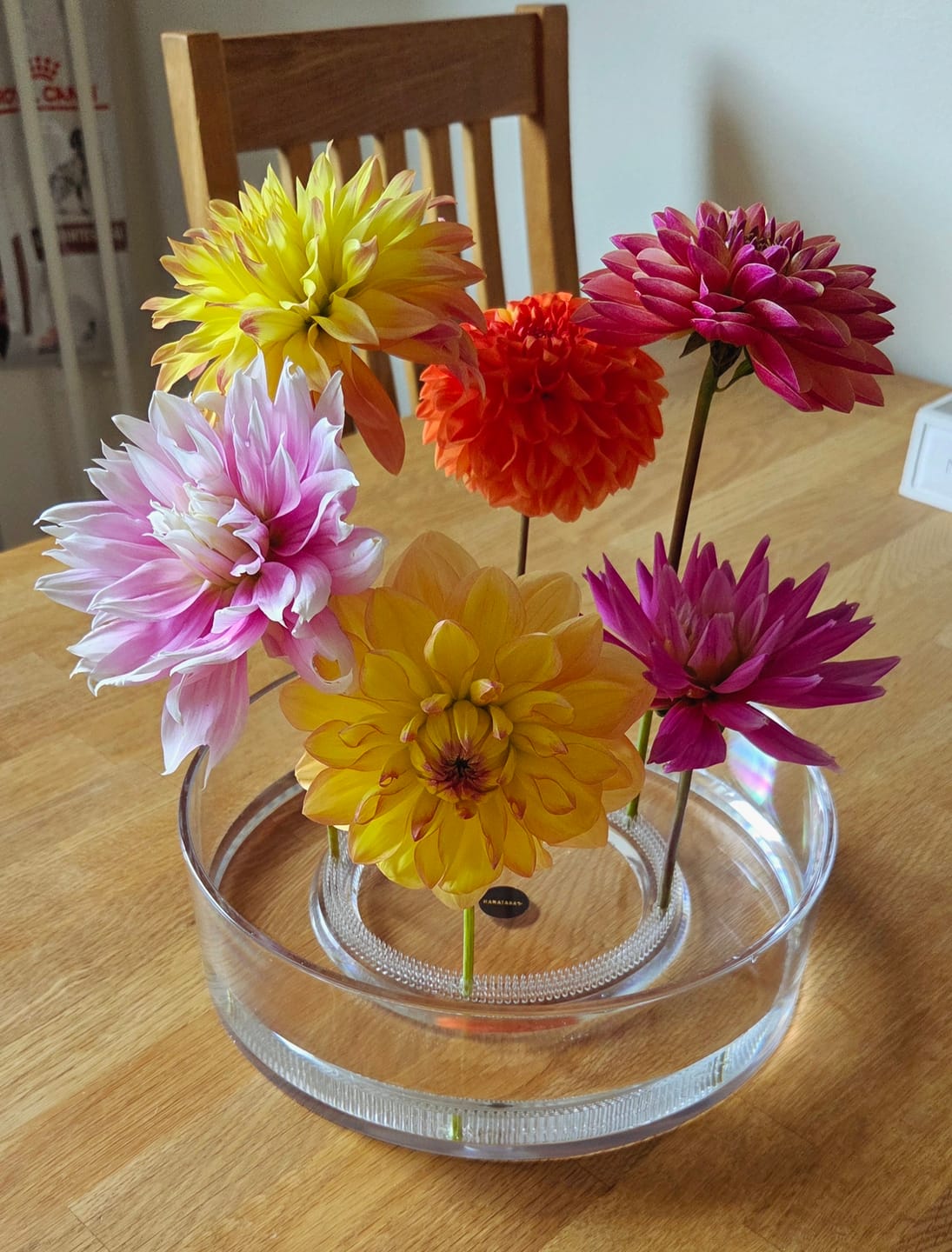 Customer photo review of Acrylic Cylinder Vase - Large