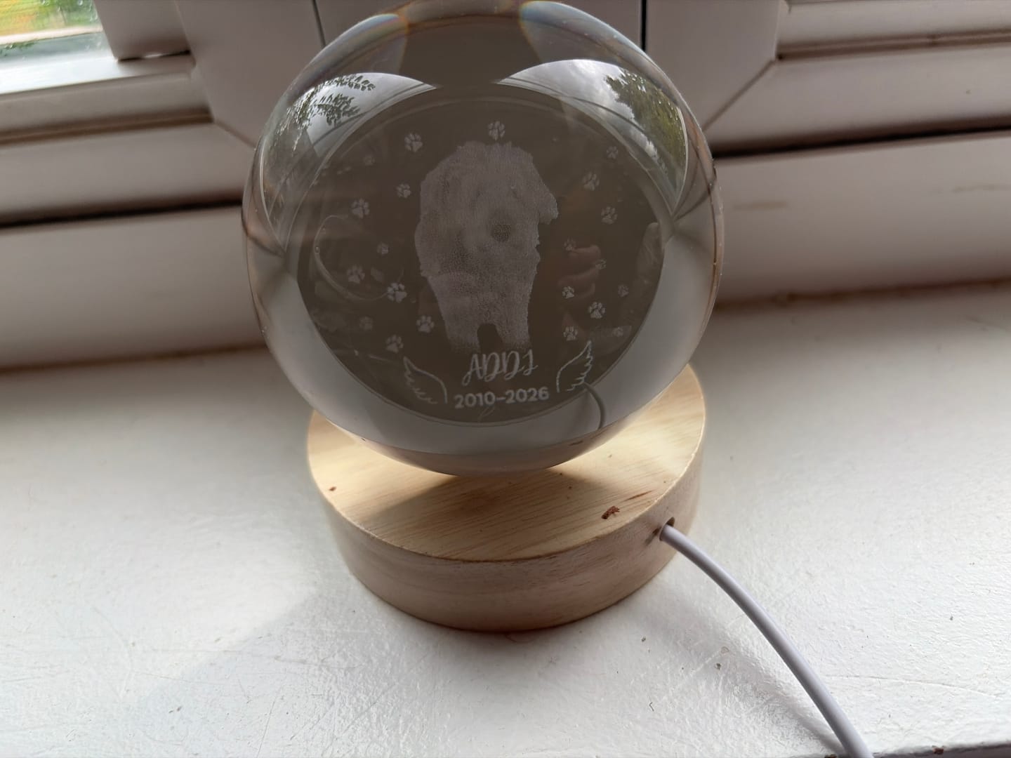 Customer photo review of Dog Angel Wings Memorial - Personalized Crystal Ball LED Night Light - Sympathy Gift For Dog Lovers