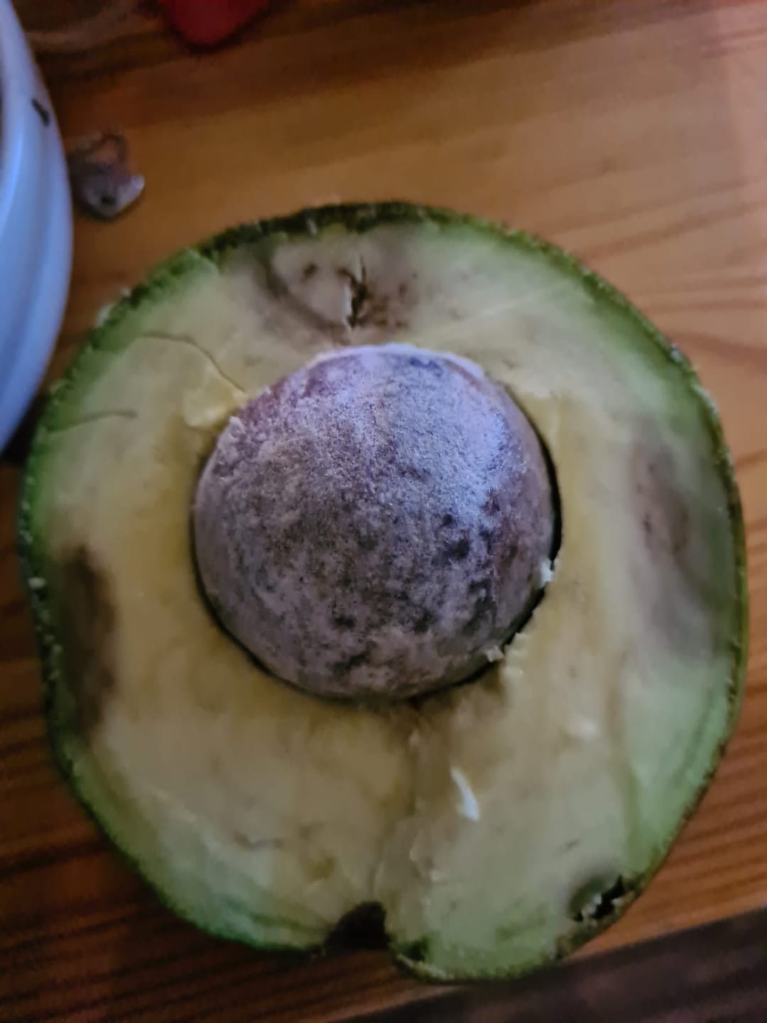 Customer photo review of Avocado Margarida 4kg Box Sparpreis %