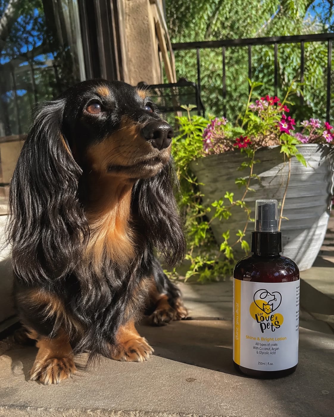 Customer photo review of Λοσιόν Λάμψης για Σκύλους & Γάτες 250ml , Απαλό και Λαμπερό Τρίχωμα Χωρίς Ξέβγαλμα