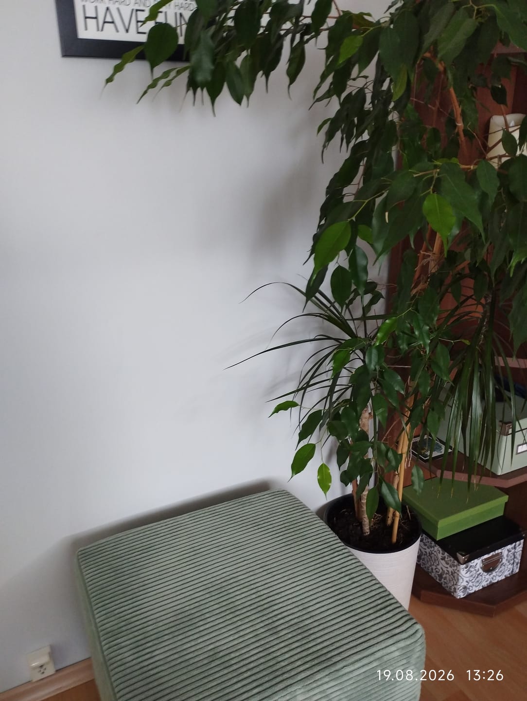 Customer photo review of Pufa NEO 50x50 sztruks