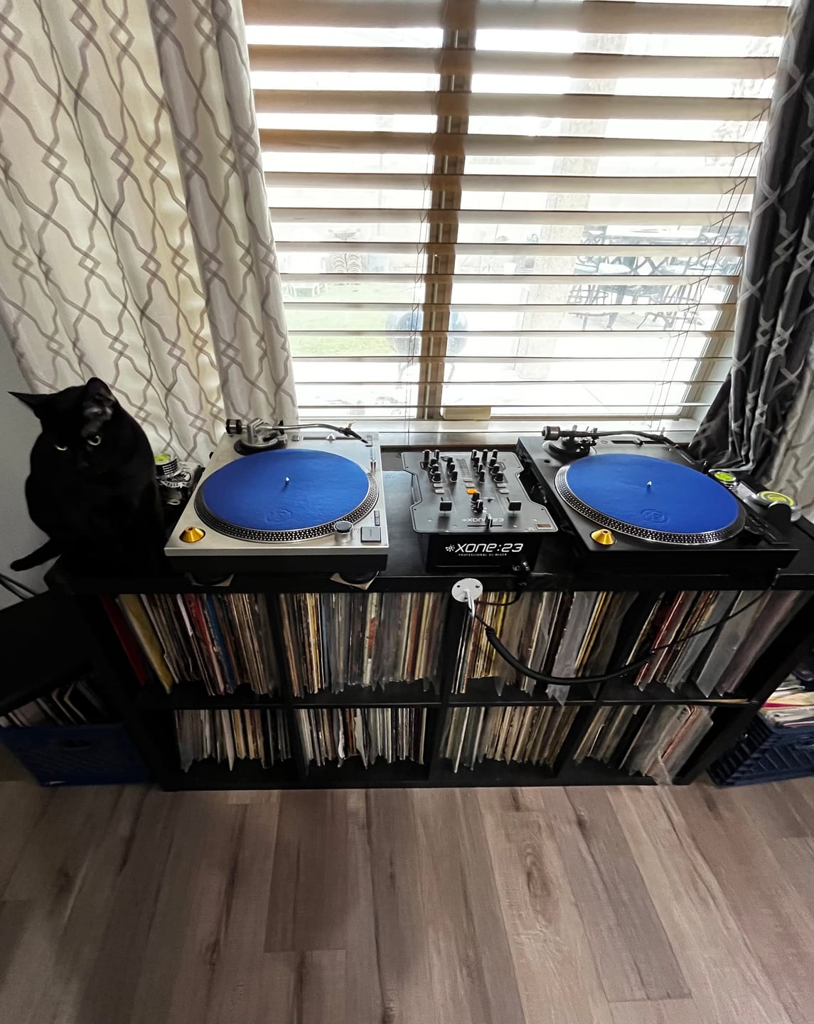 Customer photo review of Dr. Suzuki - Mix Edition Slipmats (BLUE)