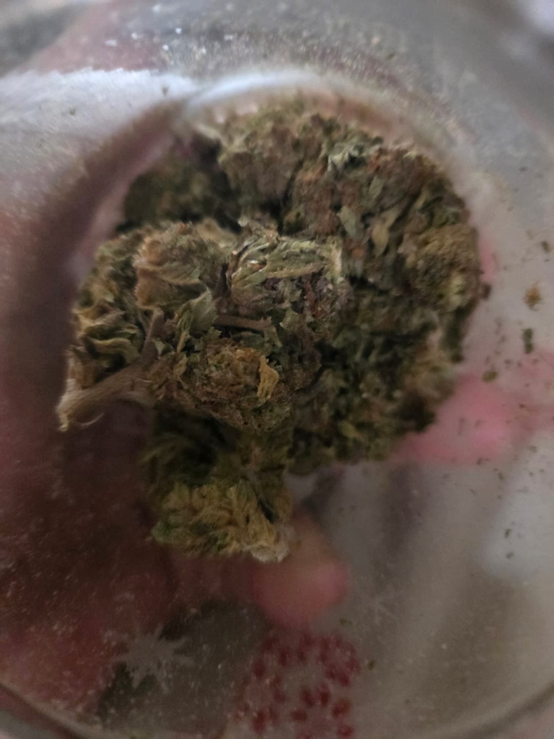 Customer photo review of Blackout Berries THCA Flower Ounce (28g)