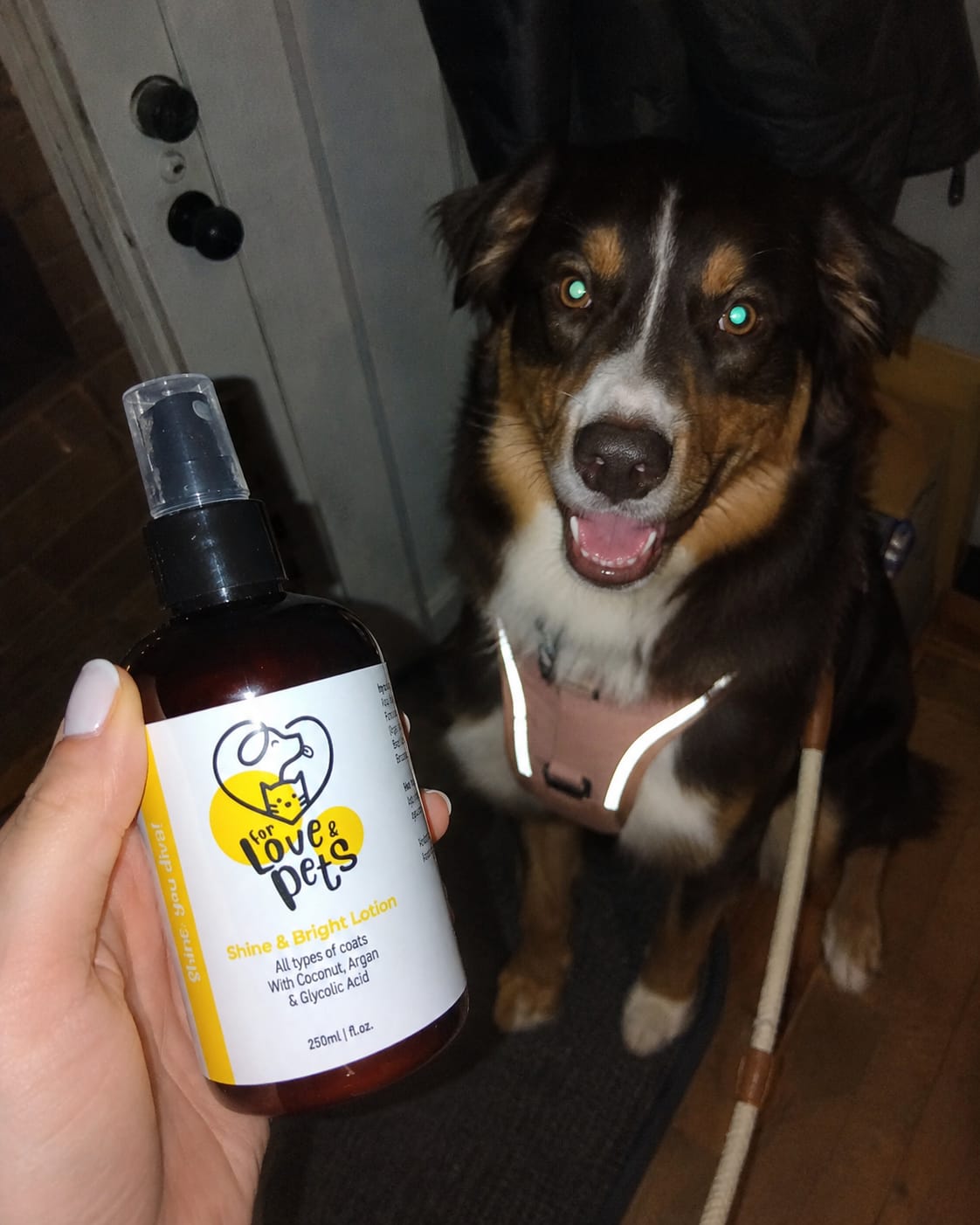 Customer photo review of Λοσιόν Λάμψης για Σκύλους & Γάτες 250ml , Απαλό και Λαμπερό Τρίχωμα Χωρίς Ξέβγαλμα