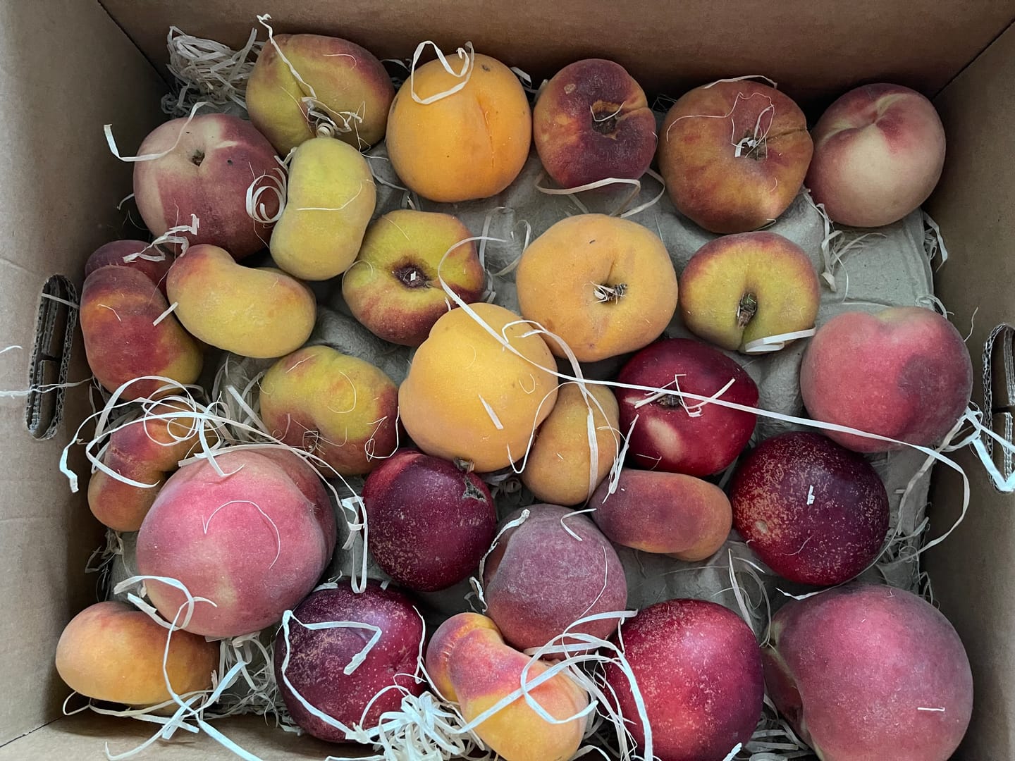 Customer photo review of Pfirsich-Mix Bio von Nicolas 3kg Box