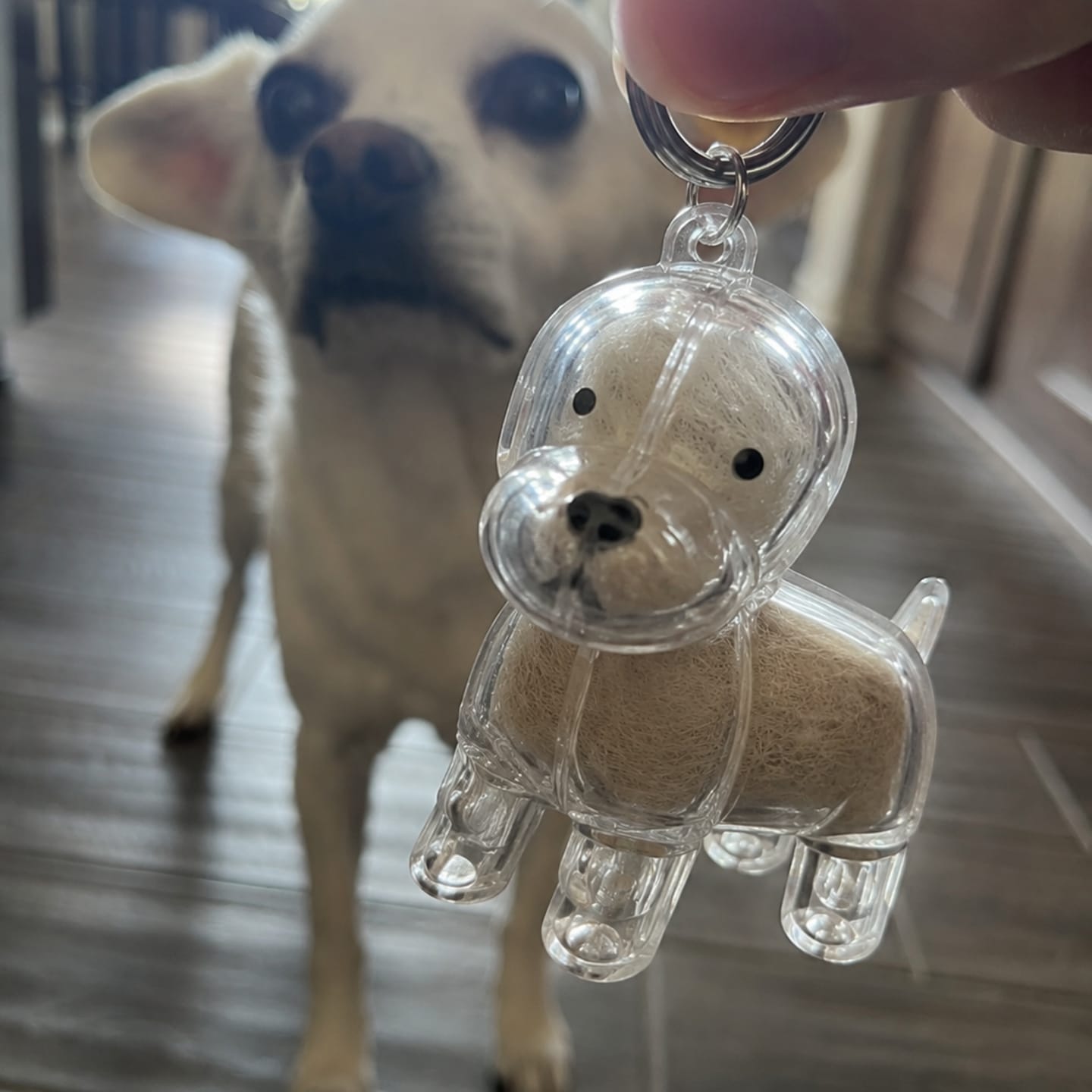 Customer photo review of Llavero para guardar pelo de mascota