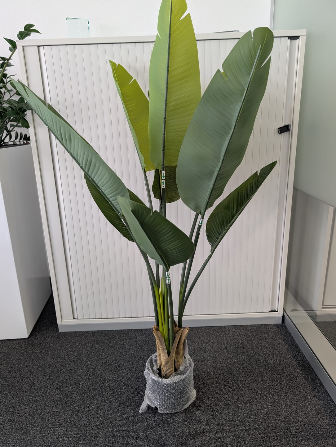 Customer photo review of Strelitzie Kunstpflanze 120cm