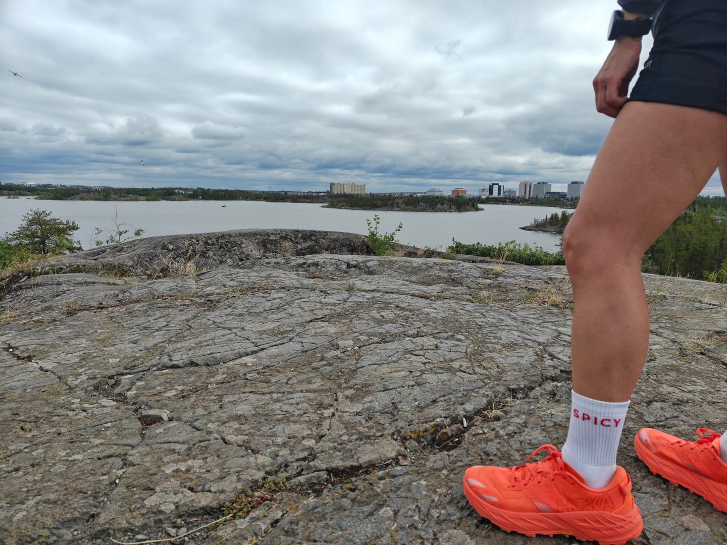 Customer photo review of SPICY SOCKS (2 Pack)