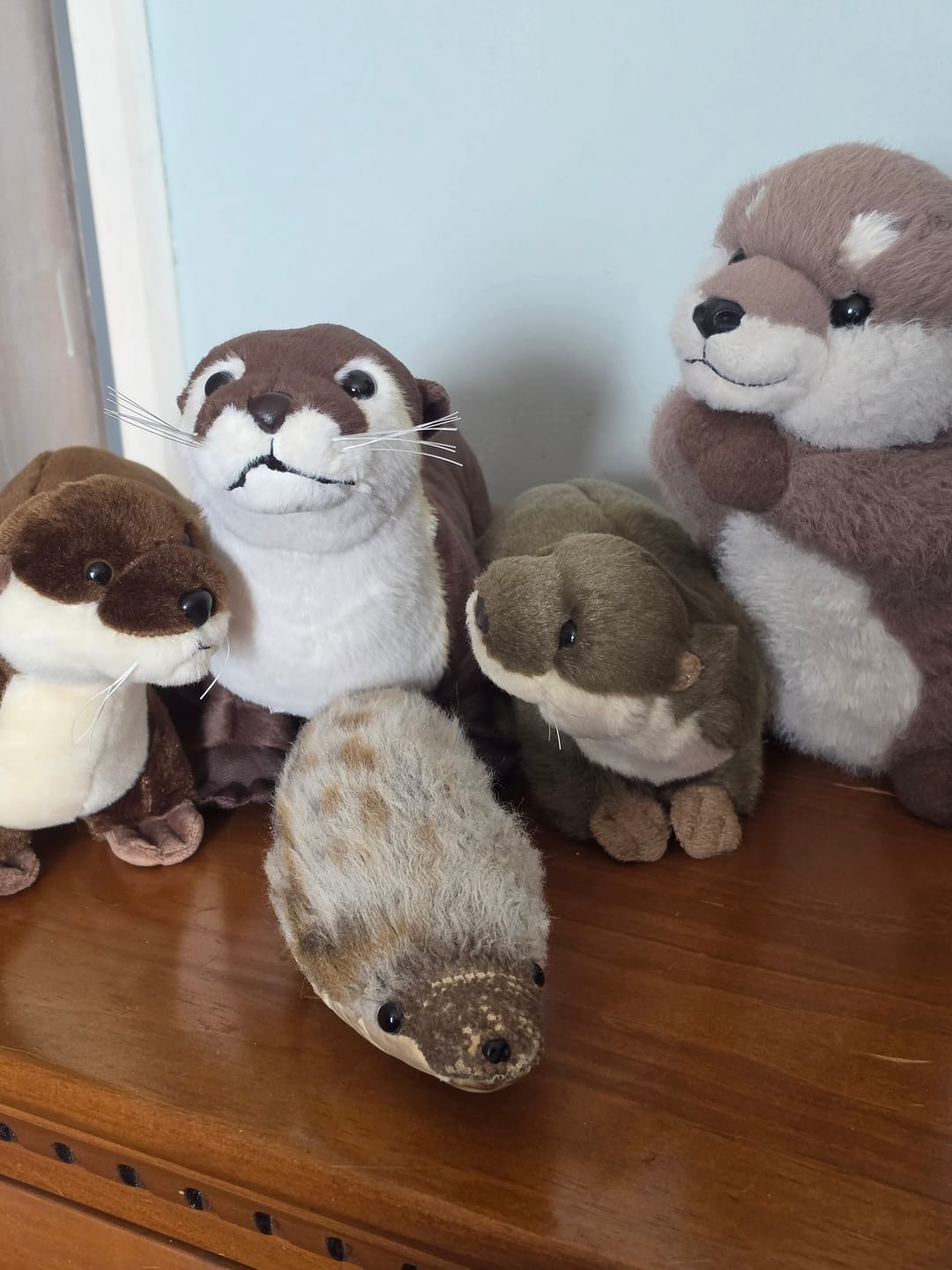 Customer photo review of Eurasian Otter Soft Stuffed Plush Toy