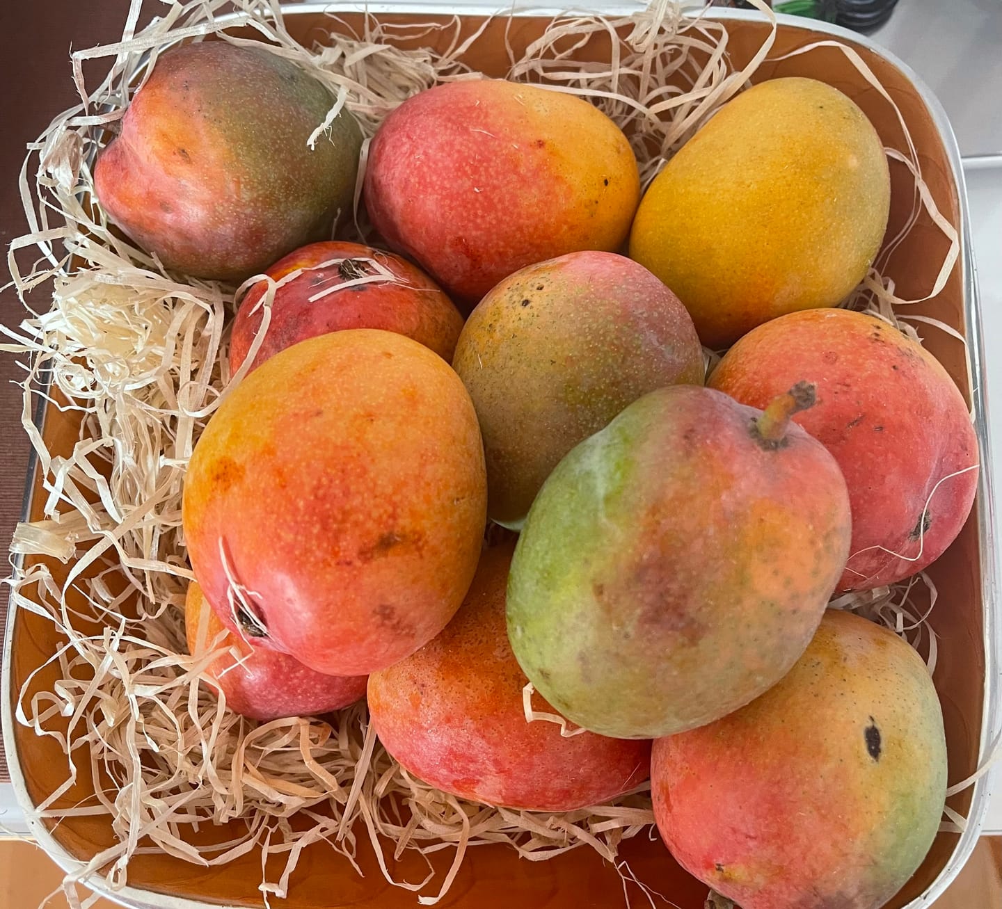 Customer photo review of Mini-Mango Tropigold von Antonio Aktionspreis %