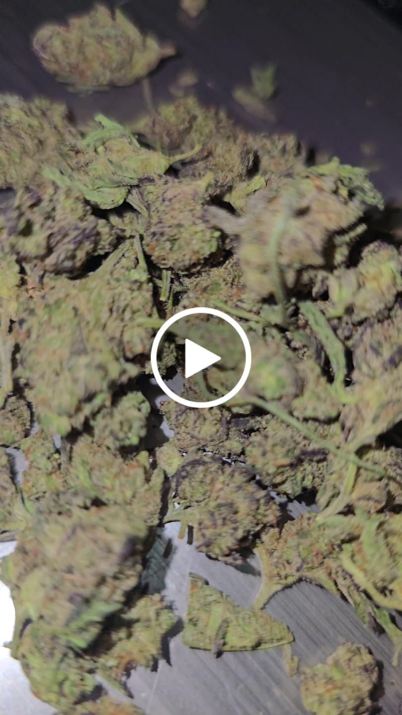 Customer video review of Cali Kush Smalls (BOGO)