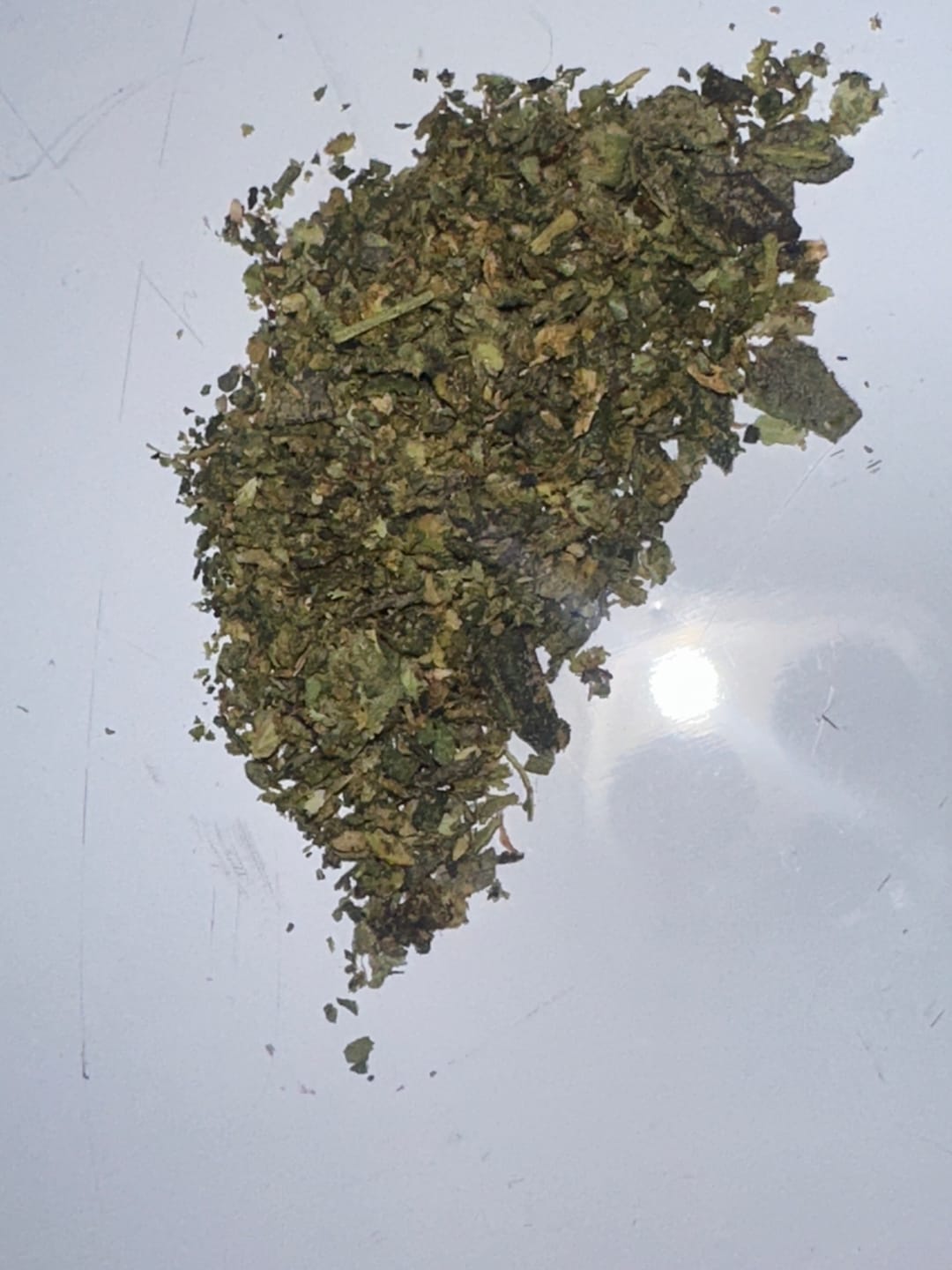 Customer photo review of Exotic Shake