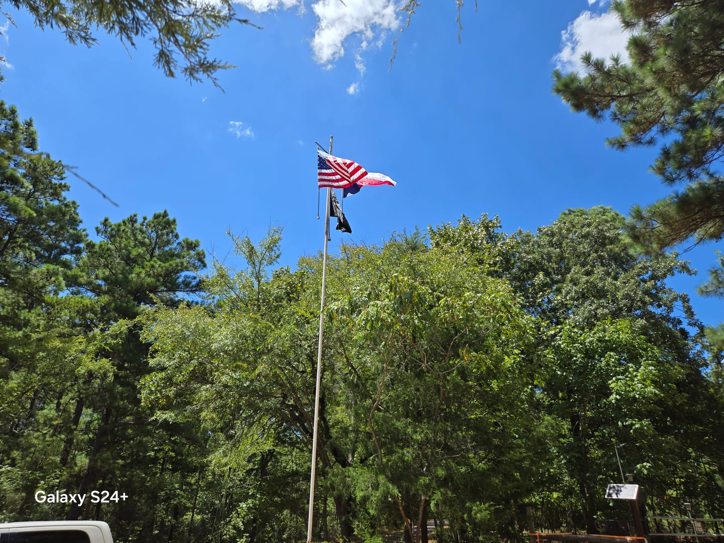 Customer photo review of 3' x 5' Texas Flag