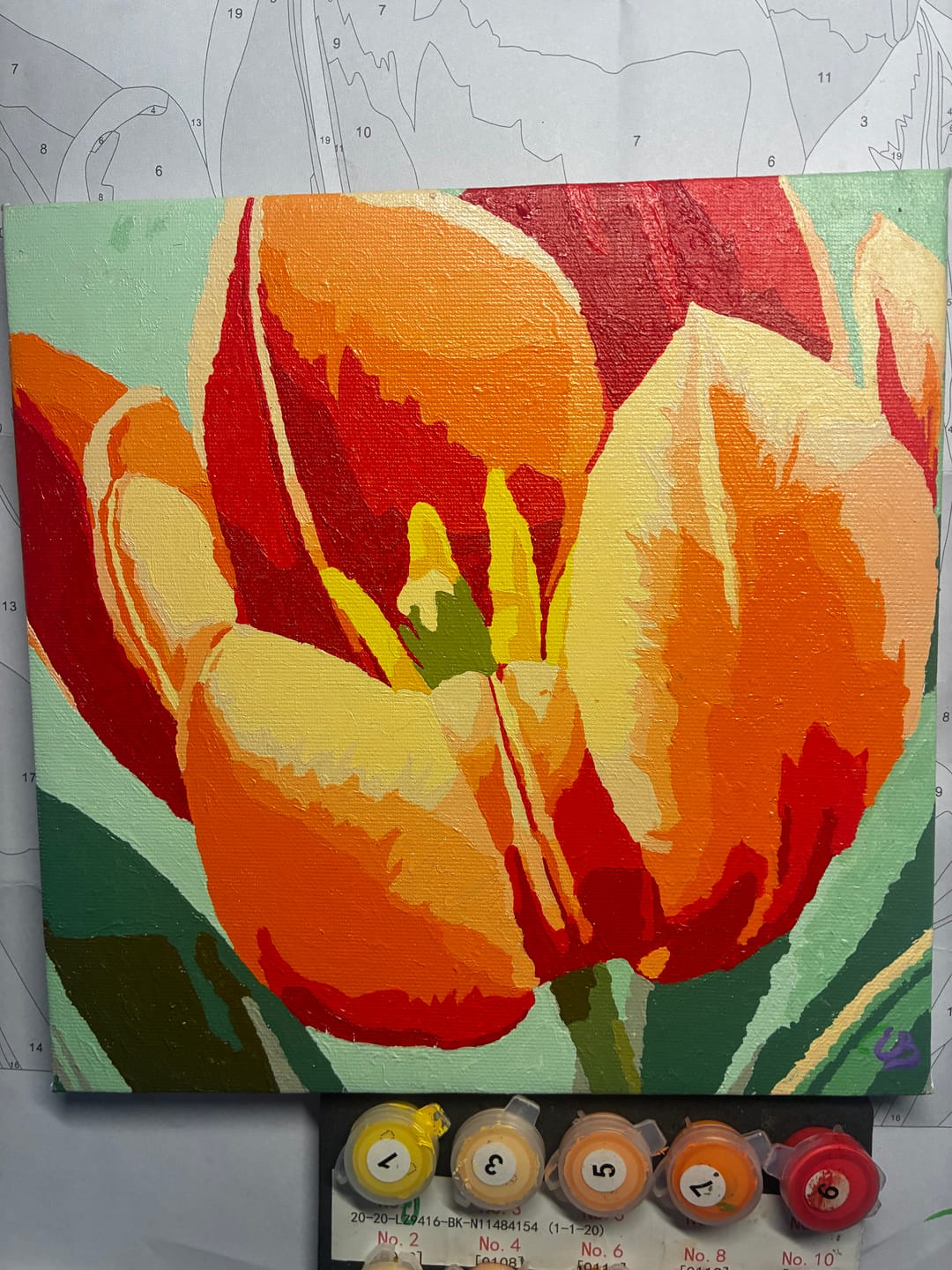 Customer photo review of Vibrant Tulip
