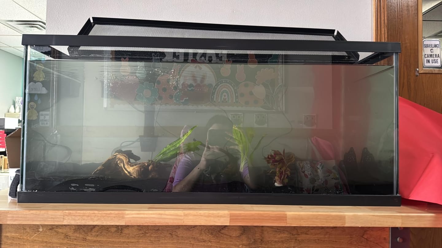 Customer photo review of Desk Table Top
