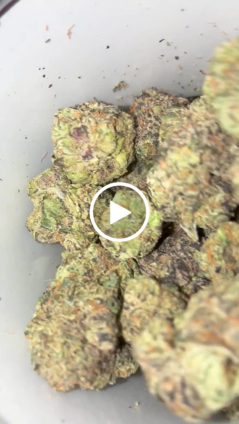 Customer video review of Boutique Exotics - Obama Runtz - 14 Grams - Hybrid