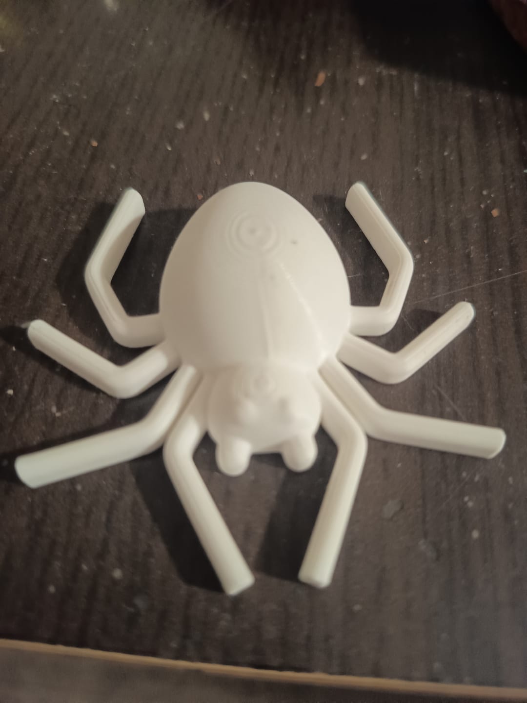 Customer photo review of Anycubic Kobra X