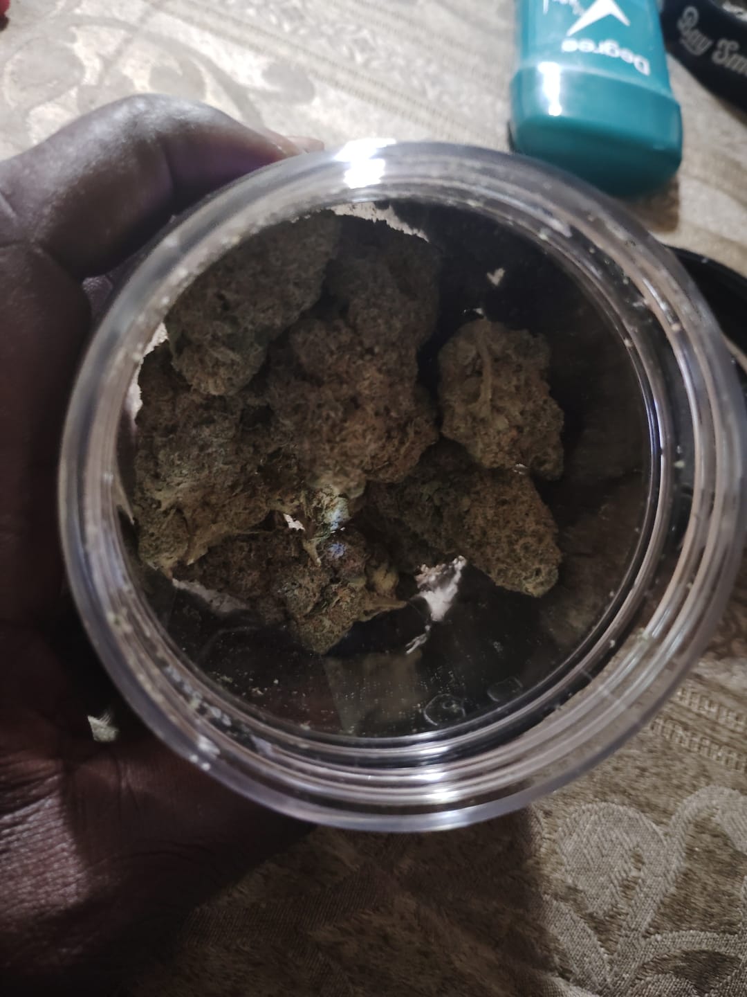Customer photo review of Purple Haze