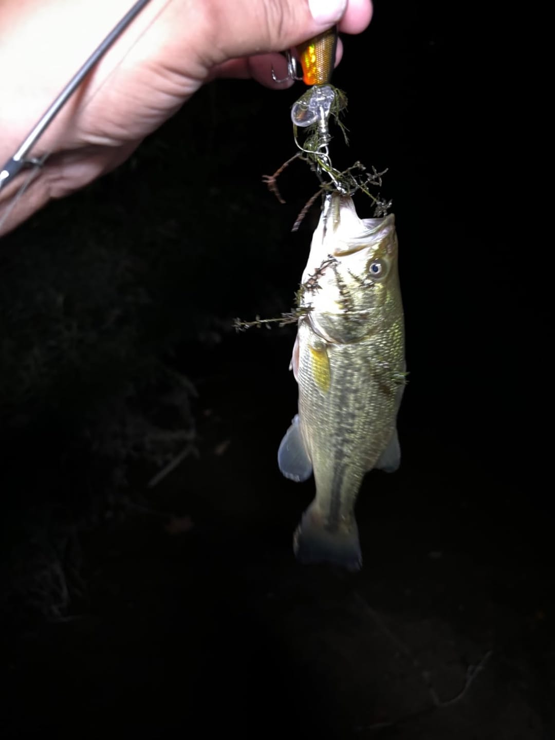 Customer photo review of PoPobait Topwater Bass Lure Plopper Lure | Double Blade