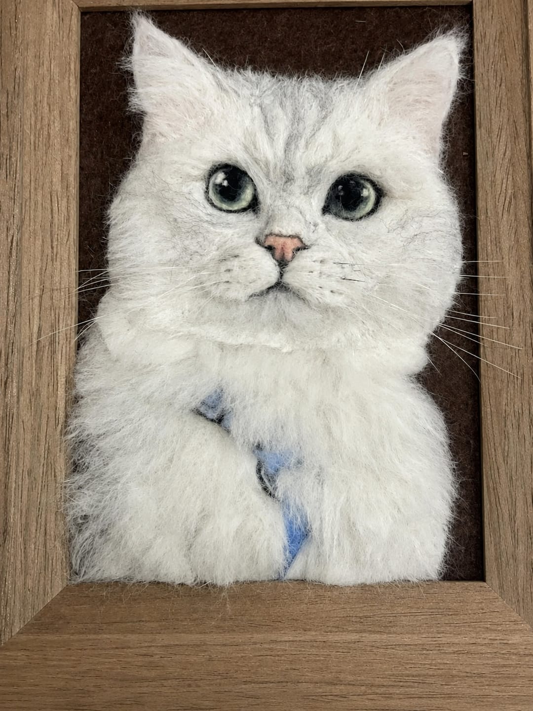 Customer photo review of Custom Pet Cloning Felt Portrait Frame