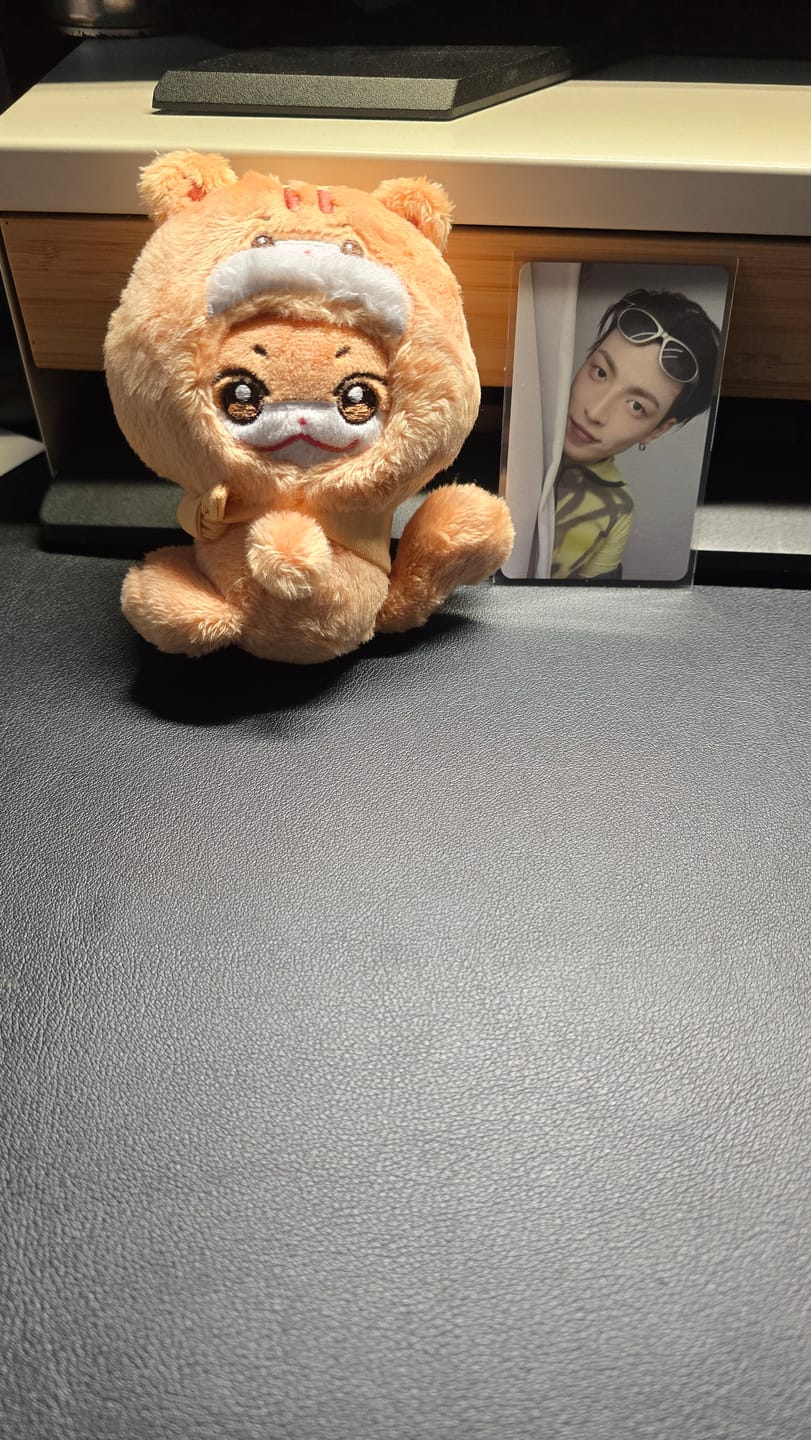 Customer photo review of ATEEZ - ANITEEZ IN COLOR POP UP OFFICIAL MD ANITEEZ X TINY PLUSH KEYRING
