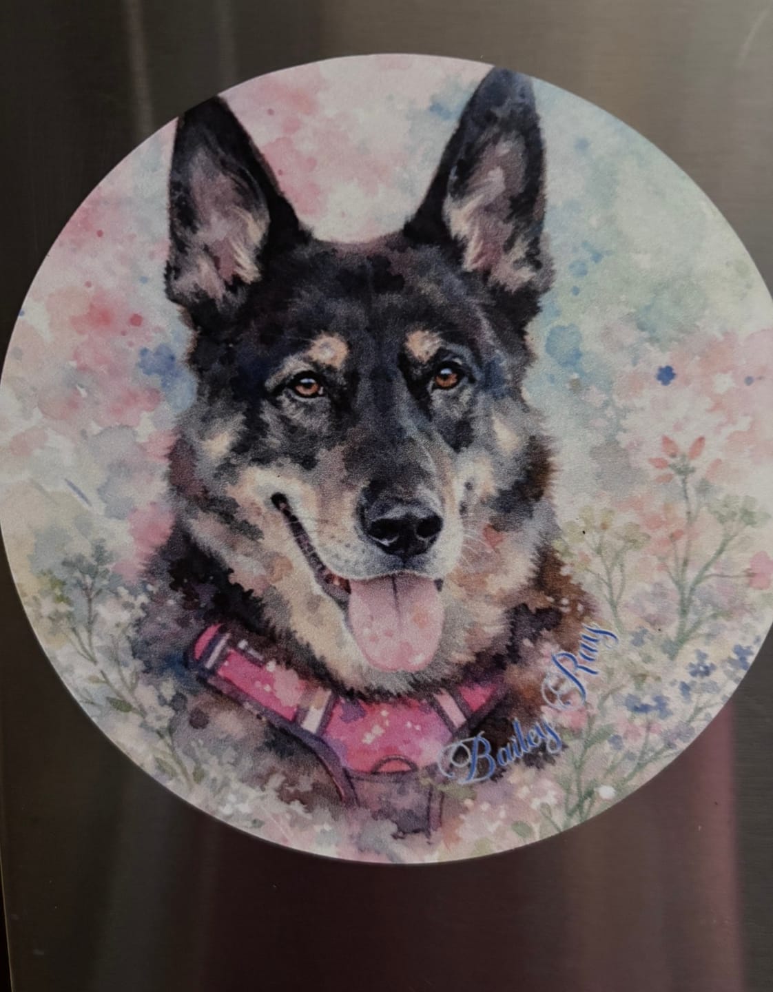 Customer photo review of Watercolor - Personalized Car Magnet