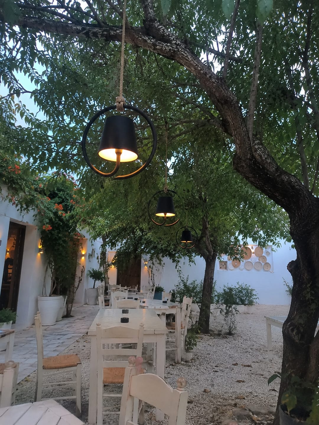 Customer photo review of Outdoor Rechargeable Pendant Light